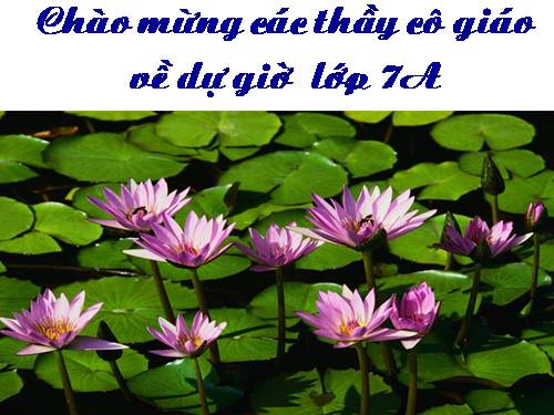 Chương III. §1. Quan hệ giữa góc và cạnh đối diện trong một tam giác