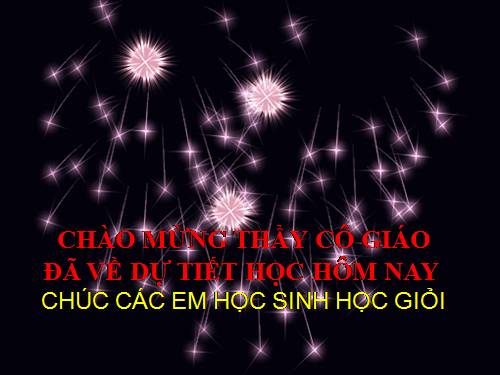 Chương I. §6. Từ vuông góc đến song song