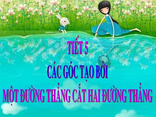 Chương I. §3. Các góc tạo bởi một đường thẳng cắt hai đường thẳng