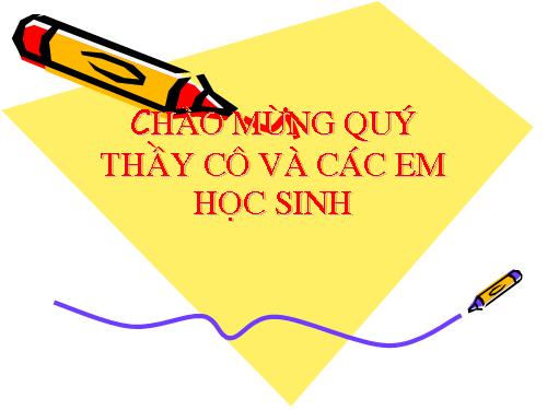 Các bài Luyện tập