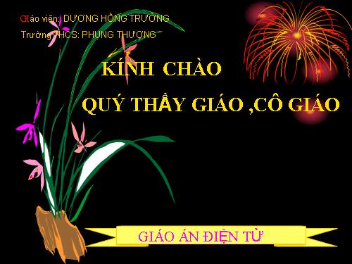 Chương II. §8. Các trường hợp bằng nhau của tam giác vuông