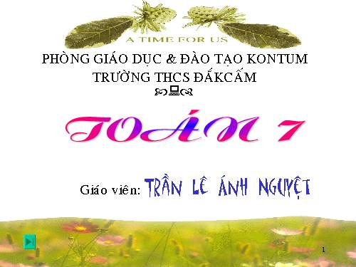 Chương II. §8. Các trường hợp bằng nhau của tam giác vuông