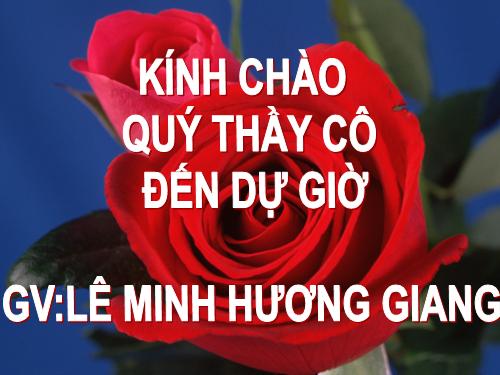 Các bài Luyện tập