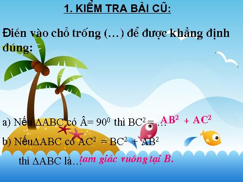 Các bài Luyện tập