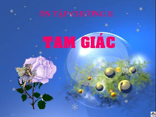 Ôn tập Chương II. Tam giác