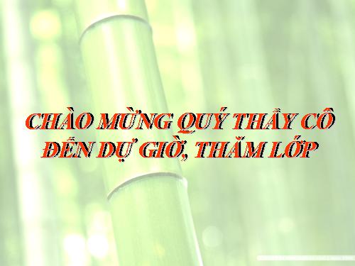 Chương II. §1. Tổng ba góc của một tam giác