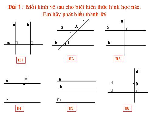 Các bài Luyện tập