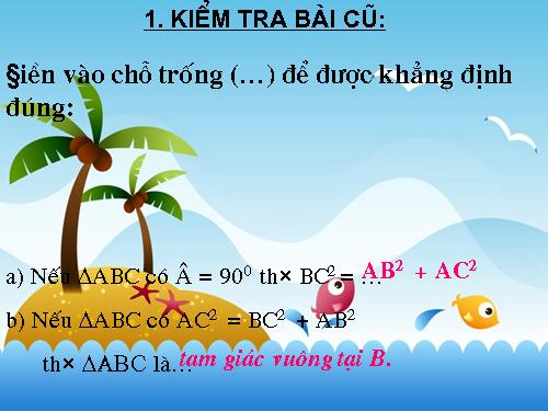 Các bài Luyện tập