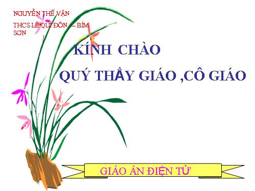 Các bài Luyện tập