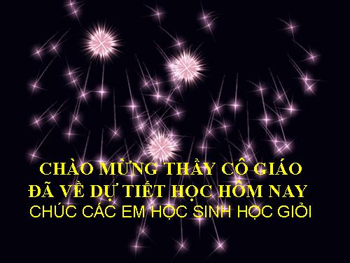 Chương I. §6. Từ vuông góc đến song song