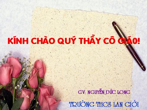 Các bài Luyện tập