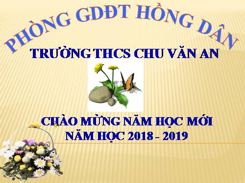 Ôn tập Chương I. Hệ thức lượng trong tam giác vuông