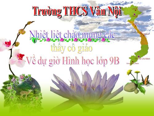 Chương III. §7. Tứ giác nội tiếp