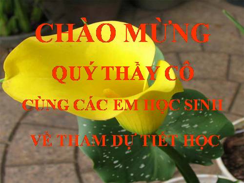 Chương II. §4. Vị trí tương đối của đường thẳng và đường tròn