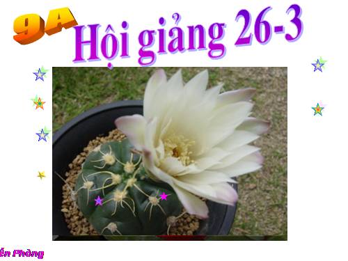 Chương III. §7. Tứ giác nội tiếp