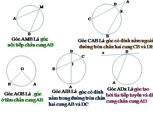 Ôn tập Chương III. Góc với đường tròn