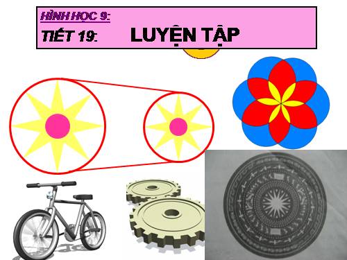 Các bài Luyện tập