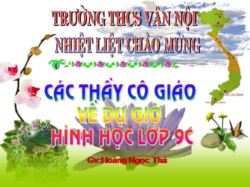 Chương III. §7. Tứ giác nội tiếp