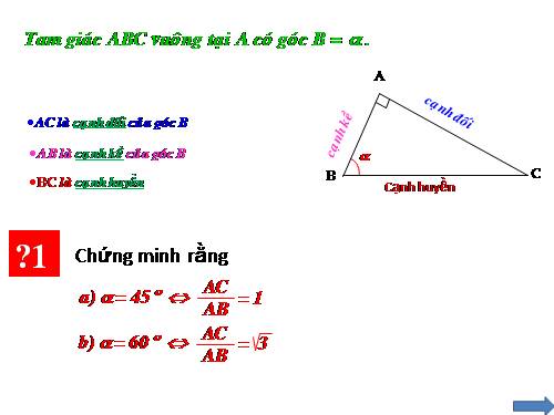 Chương I. §2. Tỉ số lượng giác của góc nhọn