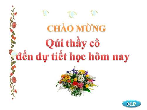 Chương III. §7. Tứ giác nội tiếp