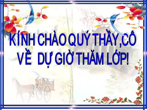 Các bài Luyện tập