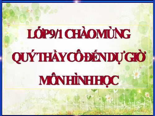 Các bài Luyện tập