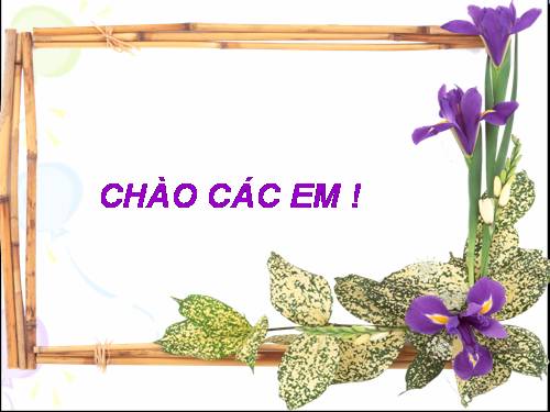 Chương III. §5. Góc có đỉnh ở bên trong đường tròn. Góc có đỉnh ở bên ngoài đường tròn