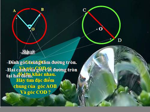 Chương III. §1. Góc ở tâm. Số đo cung