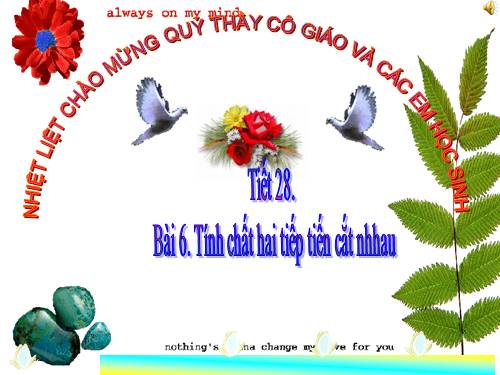 Chương II. §6. Tính chất của hai tiếp tuyến cắt nhau