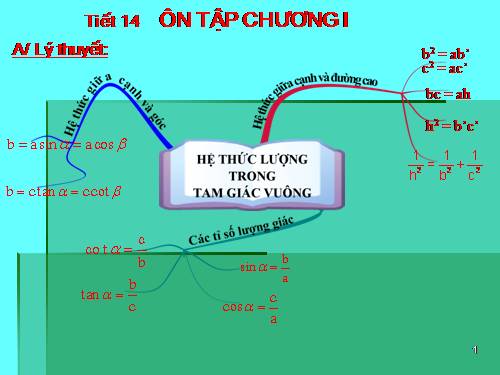 Ôn tập Chương I. Hệ thức lượng trong tam giác vuông