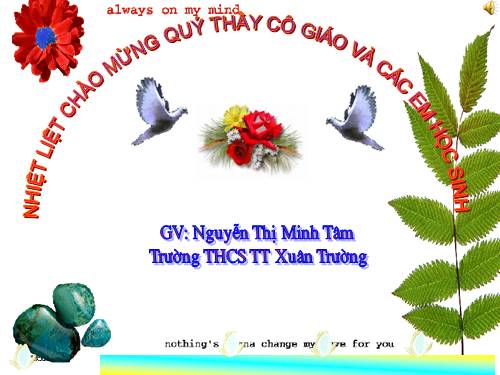 Chương III. §8. Đường tròn ngoại tiếp. Đường tròn nội tiếp