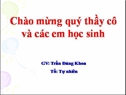 Chương III. §5. Góc có đỉnh ở bên trong đường tròn. Góc có đỉnh ở bên ngoài đường tròn