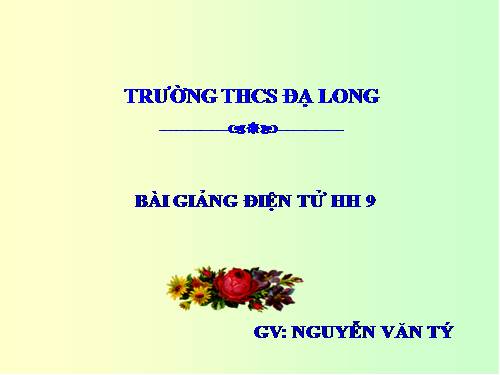 Chương IV. §2. Hình nón - Hình nón cụt - Diện tích xung quanh và thể tích của hình nón, hình nón cụt