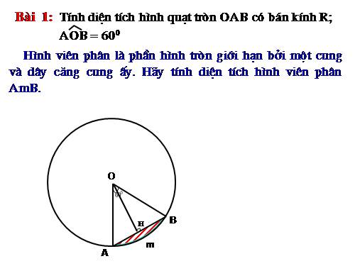 Các bài Luyện tập