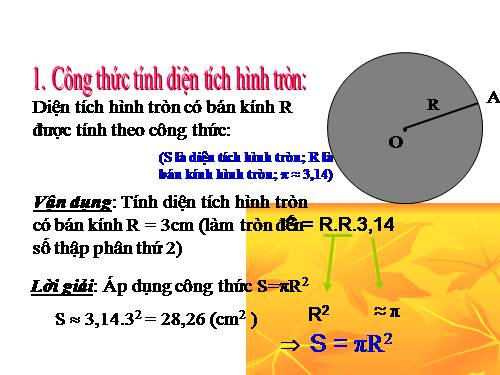 Chương III. §10. Diện tích hình tròn, hình quạt tròn