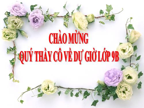 Chương III. §8. Đường tròn ngoại tiếp. Đường tròn nội tiếp