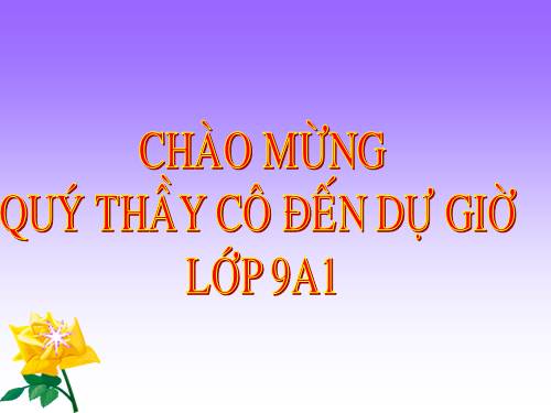 Chương II. §3. Liên hệ giữa dây và khoảng cách từ tâm đến dây