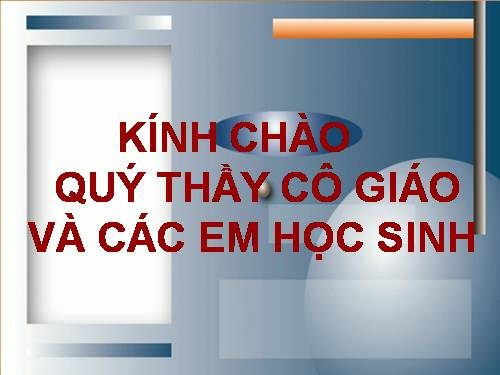 Các bài Luyện tập