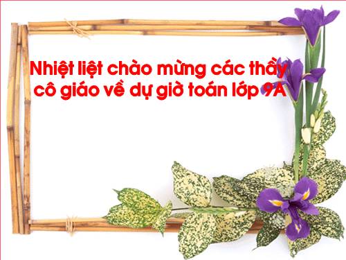 Chương II. §2. Đường kính và dây của đường tròn