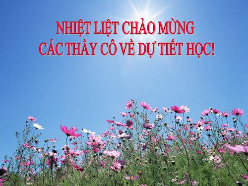 Các bài Luyện tập