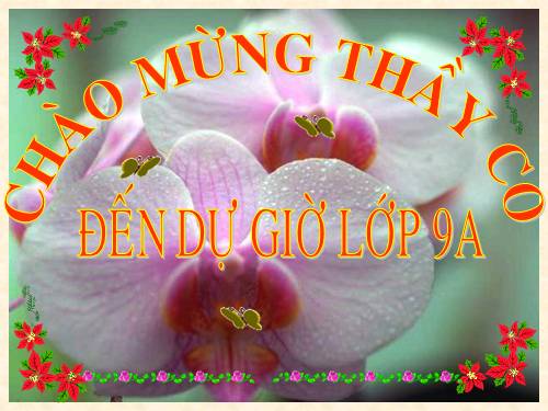 Chương III. §3. Góc nội tiếp
