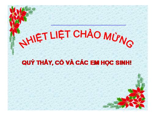 Các bài Luyện tập