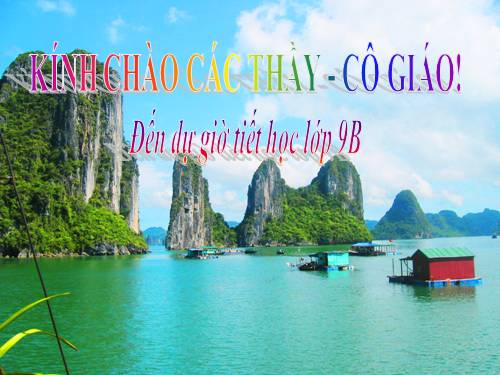 Chương III. §7. Tứ giác nội tiếp