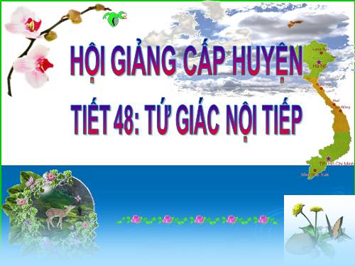 Chương III. §7. Tứ giác nội tiếp