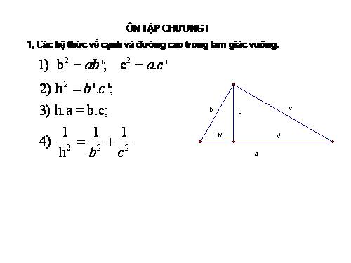 Ôn tập Chương I. Hệ thức lượng trong tam giác vuông