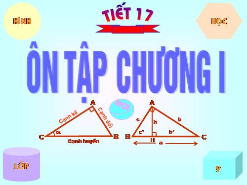 Ôn tập Chương I. Hệ thức lượng trong tam giác vuông