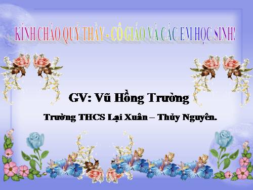 Các bài Luyện tập