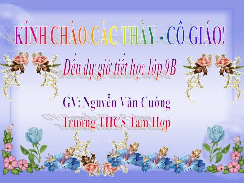 Chương III. §7. Tứ giác nội tiếp