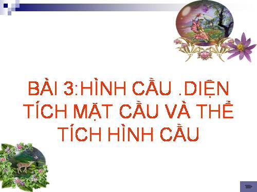 Chương IV. §3. Hình cầu - Diện tích mặt cầu và thể tích hình cầu