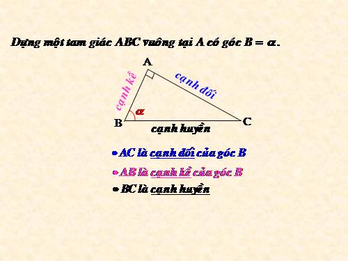 Chương I. §2. Tỉ số lượng giác của góc nhọn